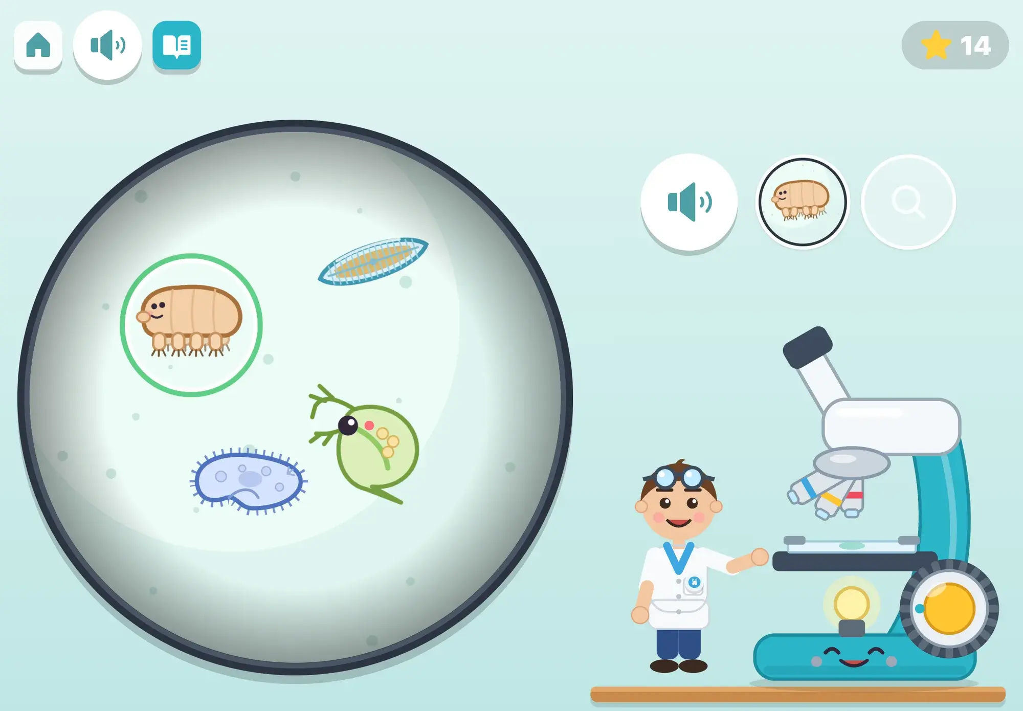 Under the microscope lens a water bear has just been found and circled in green among a diatom, a water flea and a paramecium, while the young scientist stands by the smiling microscope